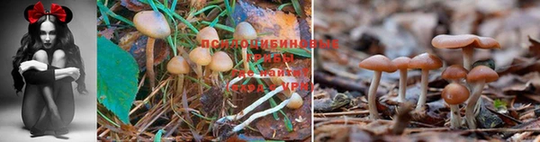 MESCALINE Куйбышев