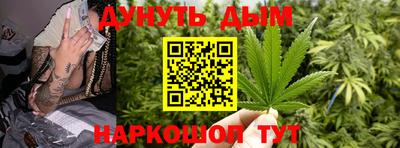 гидра Кингисепп