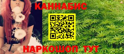 гидра Кингисепп
