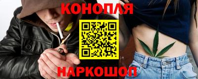 гидра Кингисепп