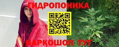 гидра Кингисепп