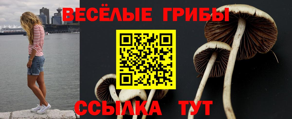 Псилоцибиновые грибы ЛСД Кубинка